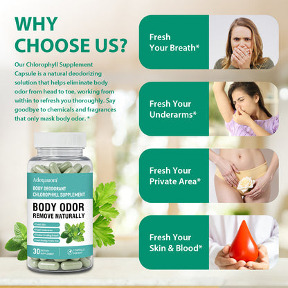Chlorophyll Body Deodorant Capsules | Internal Odor Control & Gut Health Support