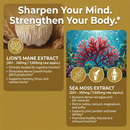 Adeqauom® 4-in-1 Shilajit, Sea Moss, Lion's Mane & Ginseng Capsules – Ultimate Potent Energy, Brain & Immunity Supplement (120 Capsules)