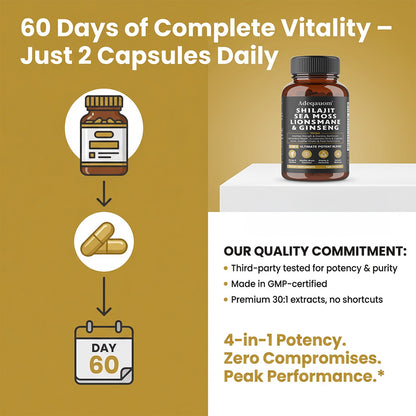 Adeqauom® 4-in-1 Shilajit, Sea Moss, Lion's Mane & Ginseng Capsules – Ultimate Potent Energy, Brain & Immunity Supplement (120 Capsules)
